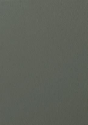 RENOLIT EXOFOL PX QUARTZ GREY 7039 